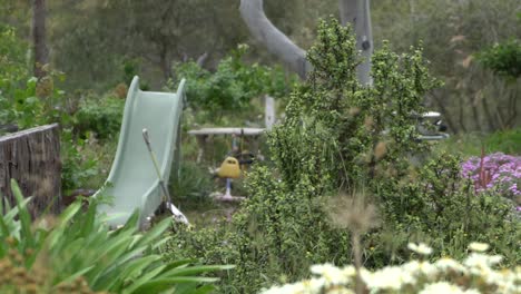 Outdoor-nature-farm-yard-slide-playground-green-everywhere