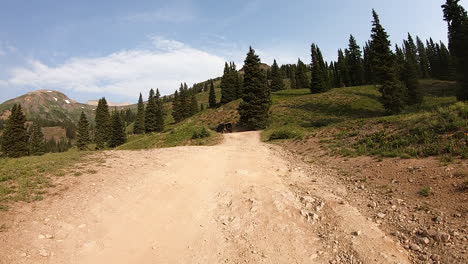 Driving-on-an-4WD-off-road-trail-through-an-alpine-meadow-in-the-Yankee-Boy-Basin-of-the-San-Juan-Mountain-of-Colorado