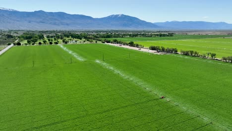 wheel line irrigation system waters green fields near bishop, california