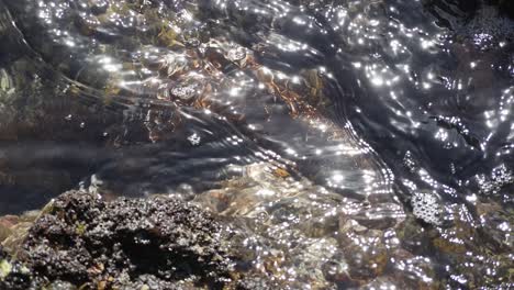 un gran pepino de mar colocado entre las rocas con olas rompiendo a la luz del sol