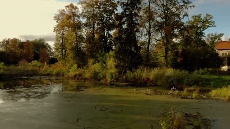 Aerial-footage-on-a-small-pond-in-the-middle-of-the-village,-trees-around-the-pond-and-high-grass-on-the-edge-of-the-water-reservoir,-old-house-in-the-background