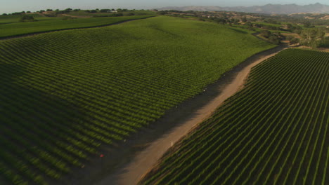 Hubschrauber-Low-Level-Antenne-Von-Santa-Barbara-County-Weinberge-Kalifornien-8