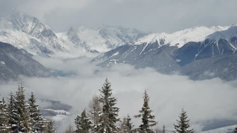 a snowy forest stretches toward misty mountain tops, creating a serene and natural winter landscape. parallax video.