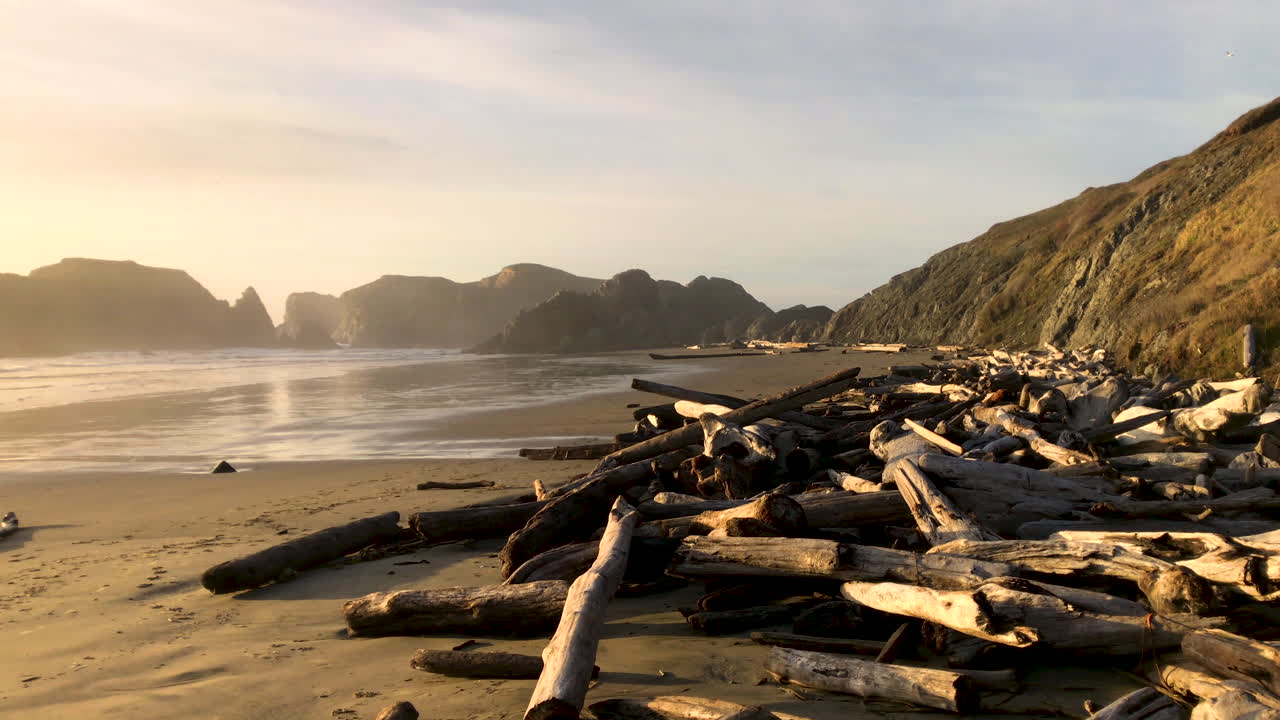 Masser af drivtømmer ved Bandon Beach i Oregon.
