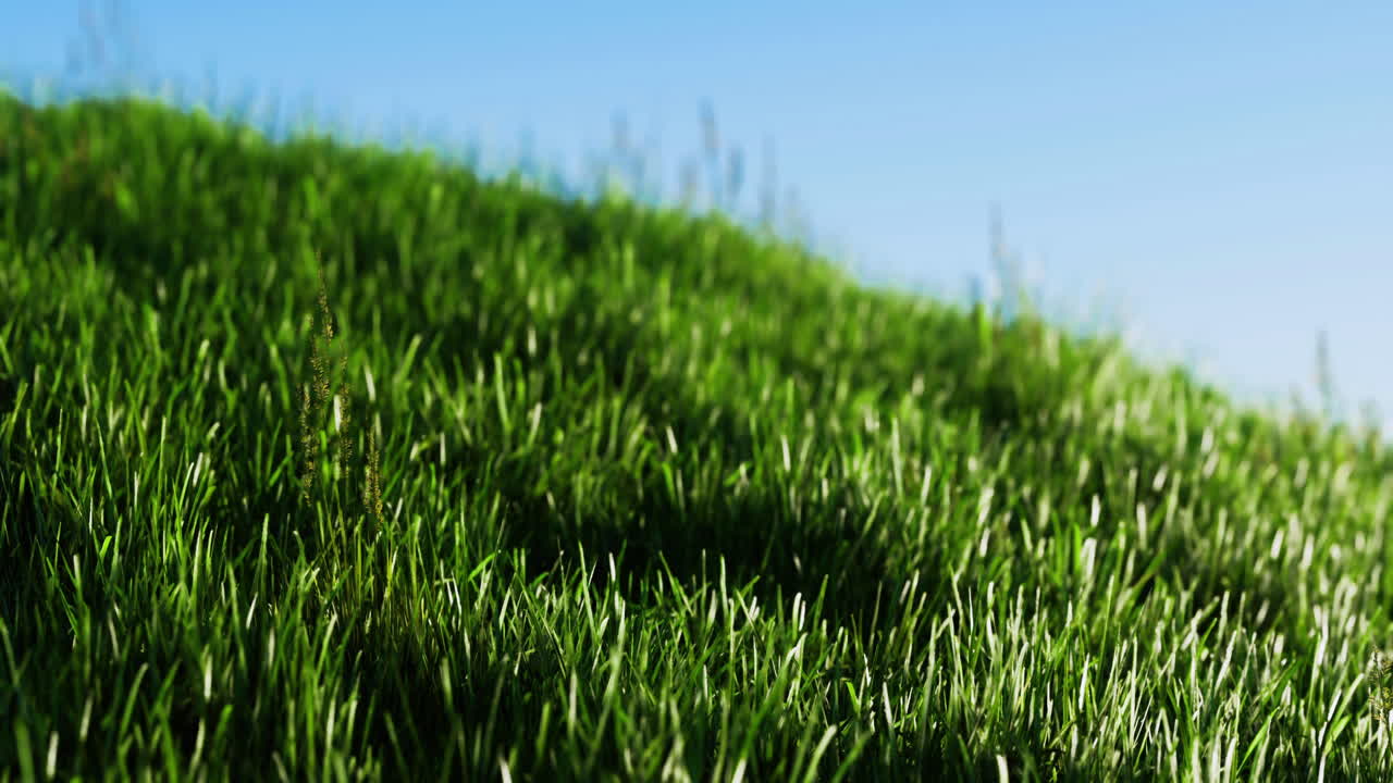 Lush green grass covers a hill under a clear blue sky in bright sunlight