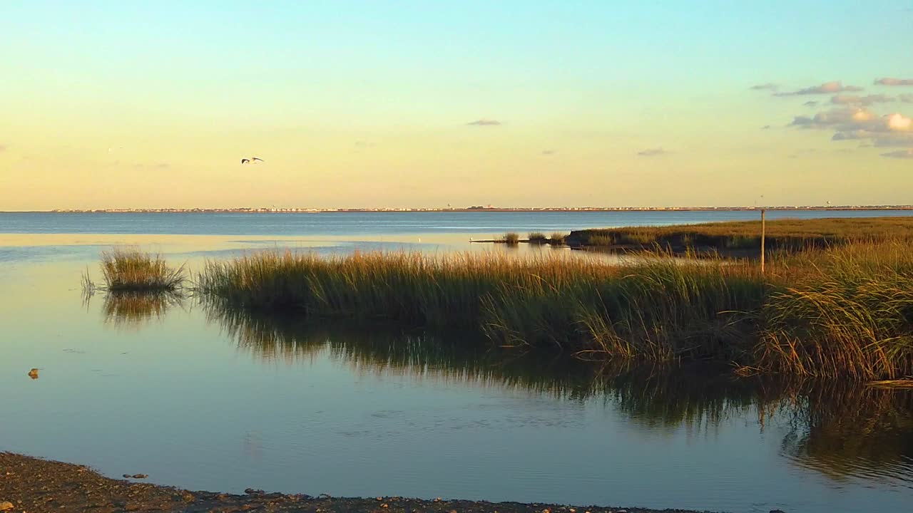 hd 120 fps el pájaro vuela fuera del cuadro a la izquierda luego se desplaza de izquierda a derecha desde la vista de la vía fluvial para revelar el horizonte de la ciudad atlántica en la distancia con un cielo en su mayoría despejado cerca de la hora dorada