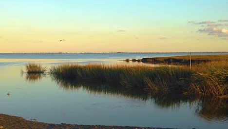 HD-120-fps-bird-flies-out-frame-left-then-pan-left-to-right-from-waterway-view-to-reveal-Atlantic-City-skyline-in-distance-with-mostly-clear-sky-near-golden-hour