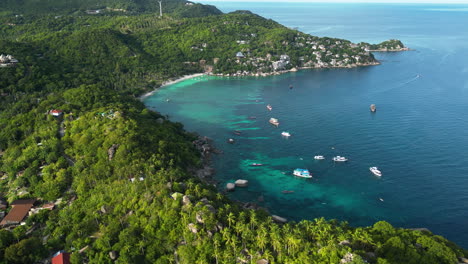 drone shot of beautiful shark bay with coral reefs in koh tao,thailand at golden hour