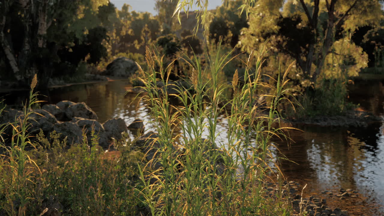 Lush greenery and tranquil waters in a serene natural setting at sunset