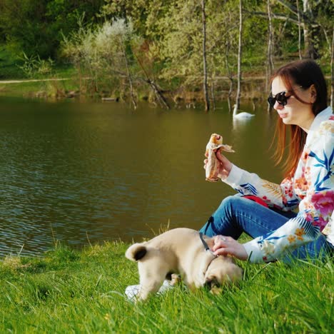 joven mujer elegante con gafas de sol caminando en el parque con un perro de raza pug 5