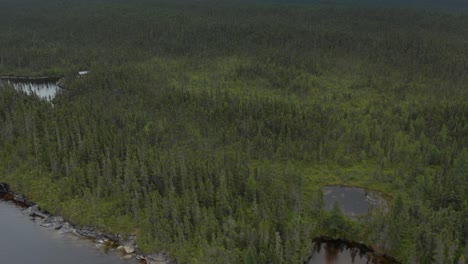 aerial shot of an isolated cabin in the wild woods on the banks of a lake
