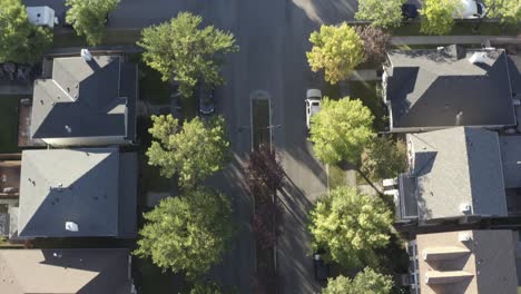 birds-eye-view-fly-over-rise-at-Inverness-suburb-where-theres-an-island-in-the-center-of-the-residential-road-with-lush-high-trees-during-a-summer-sunrise-at-the-Southeast-side-of-Calgary-Alberta-2-5