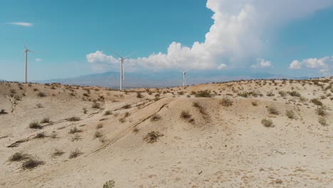 parque eólico y dunas de arena
