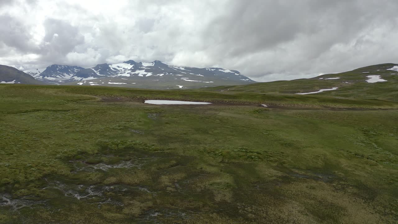 수평선에 눈 덮인 산이 있는 녹색 계곡
