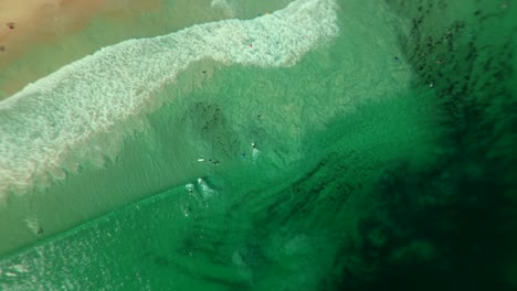 aerial view of surfers and waves at the beach