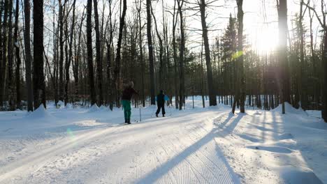 cross country skiing through the woods of maine