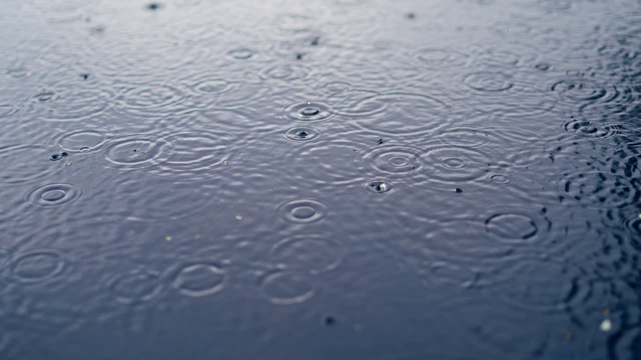 Water drops on river surface. Ripples from rain droplets falling on water surface