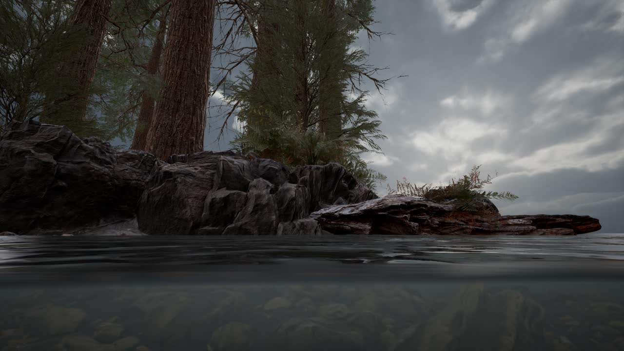 medio bajo el agua en el mar del norte con rocas