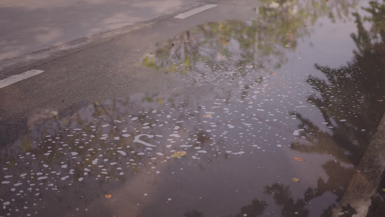 Puddle on the Road