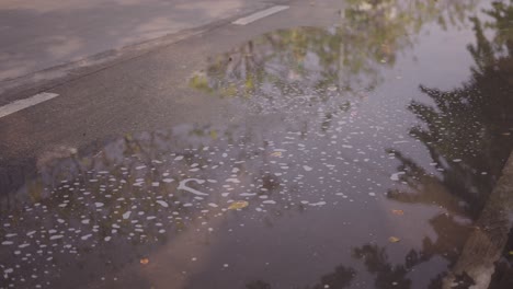 Puddle on the Road