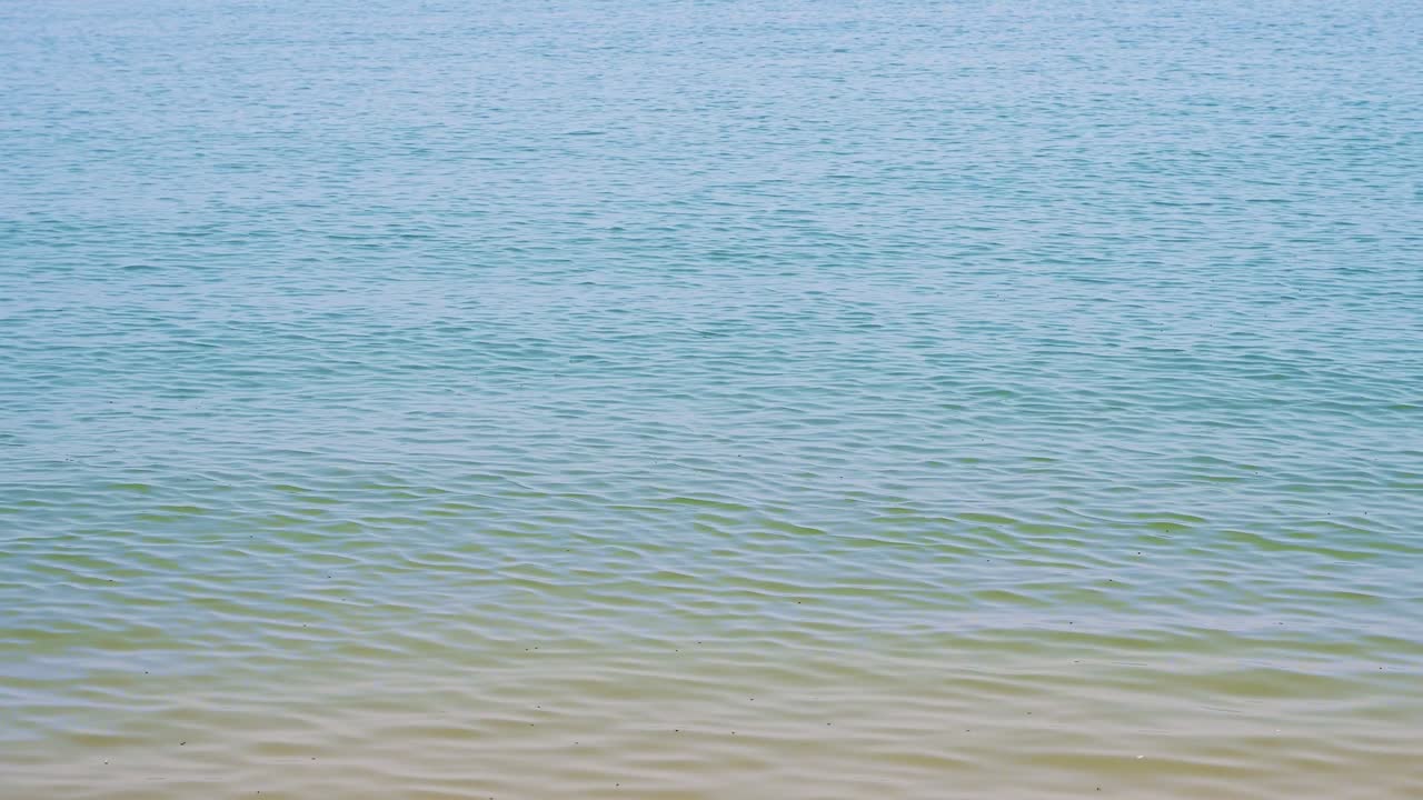 바다의 파동은 자연의 반사와 함께 4k 해상도입니다.