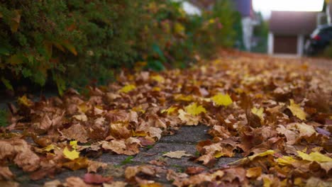 hojas de otoño doradas en el suelo en el pueblo de schonaich en alemania en 4k