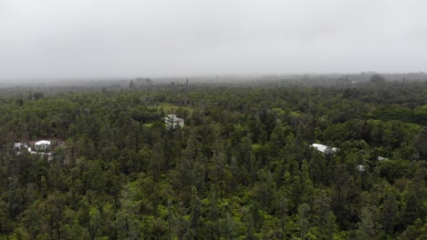 aerial drone shot 4k forward moving - hawaiian acres big island hawaii - ohia forests