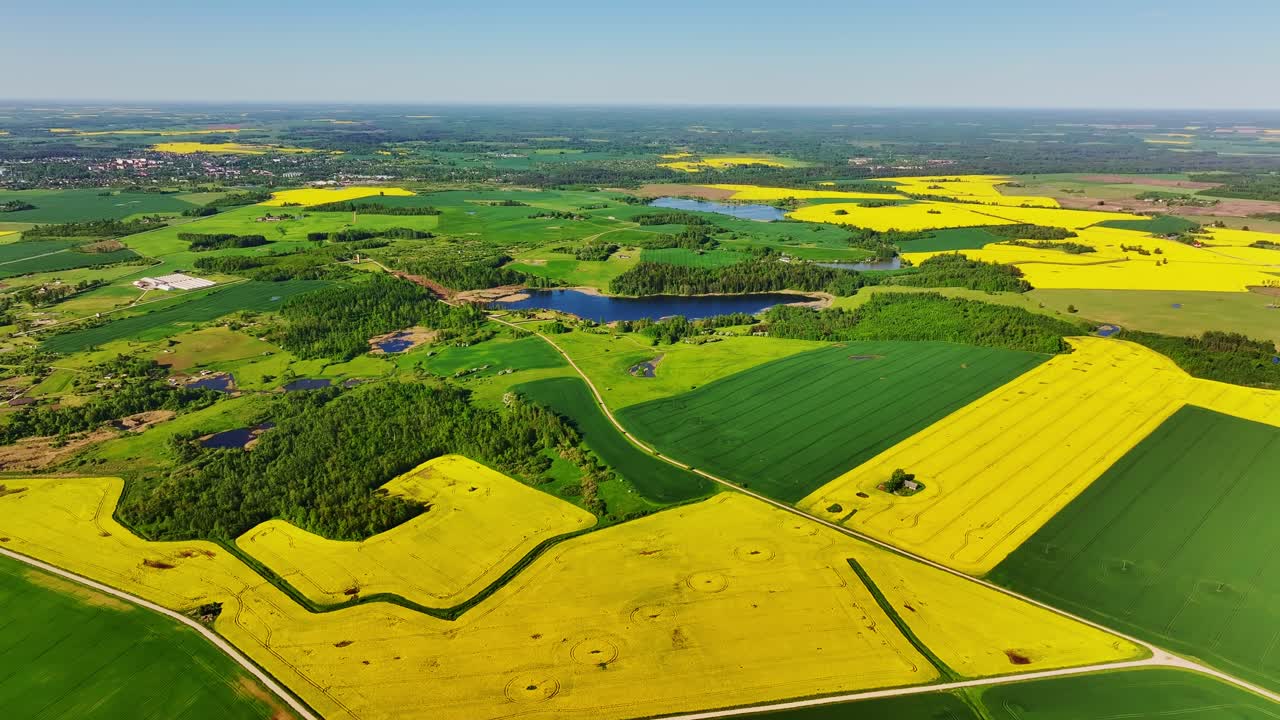 Backwards drone view reveals Dobele farmlands and vivid spring fields, Latvia