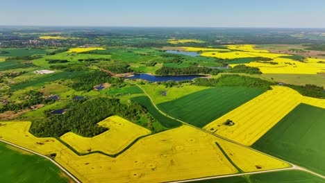 backwards drone view reveals dobele farmlands and vivid spring fields, latvia