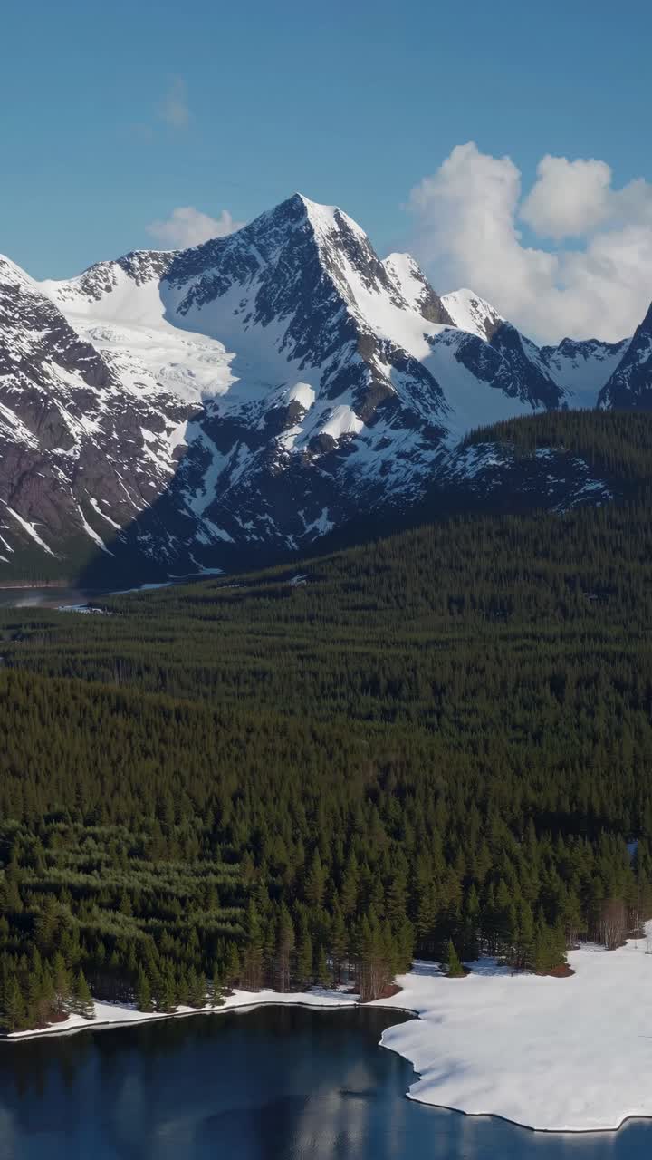 Aerial video captures a snow-capped mountain range with dense forest below, showcasing nature's