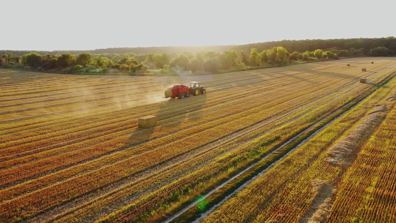 Tractor is collecting dried grass on the beautiful field background. Agricultural machine at seasonal works in summer. Motion camera forward.