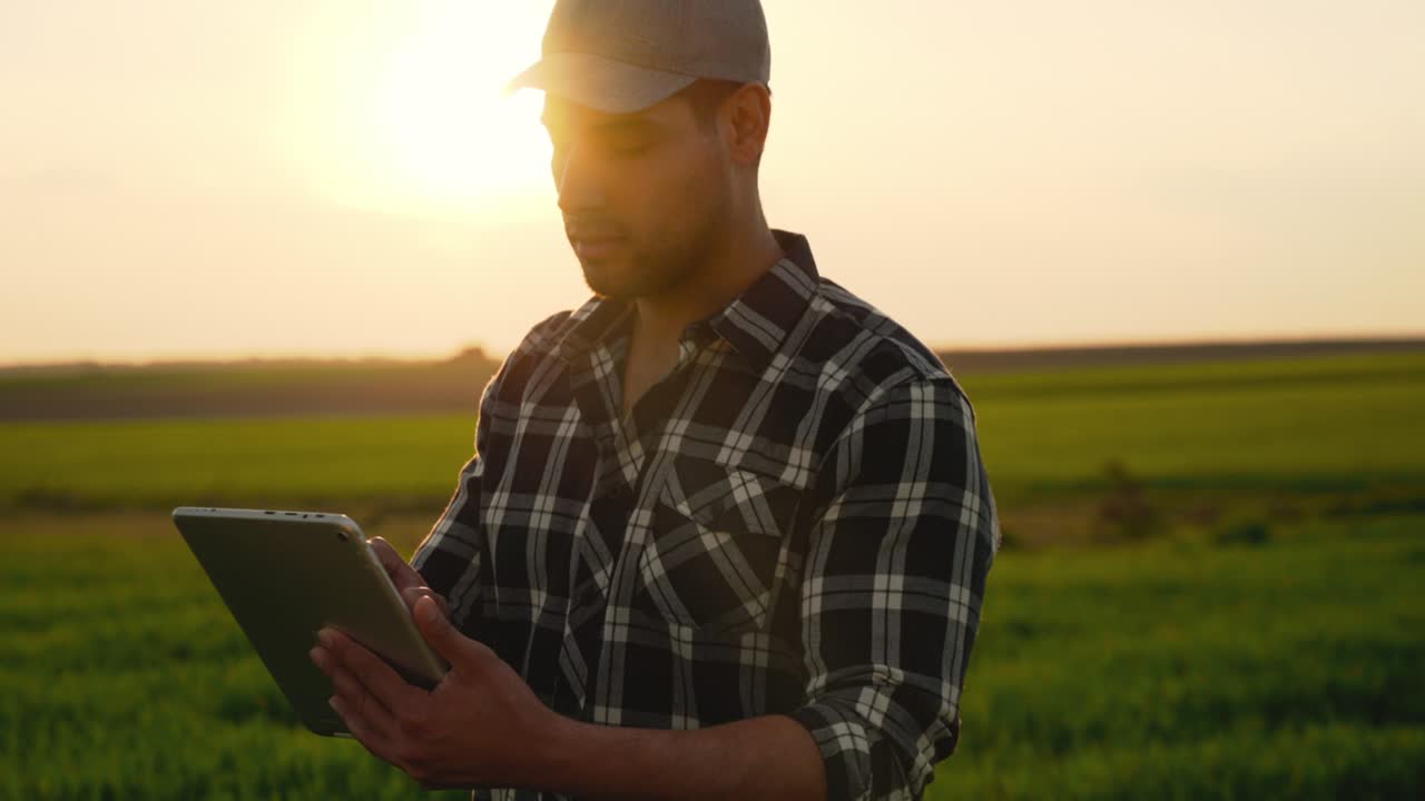 un joven agricultor está de pie en un campo de trigo verde con una tableta en las manos comprobando el progreso de la cosecha. hombre con camisa azul y gorra al atardecer. concepto de agricultura. imágenes de alta calidad en 4k