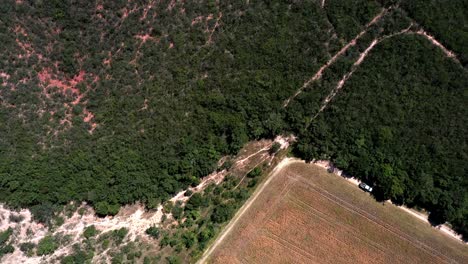 vista aérea de la sabana brasileña y luego campos de soja que crecen en tierras de cultivo deforestadas