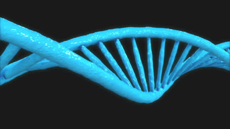 Die-Menschliche-Doppelhelix