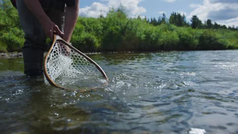 Mann-Mit-Einem-Fischernetz-Lässt-Eine-Forelle-Zurück-In-Den-Fluss,-Nachdem-Er-Sie-Gefangen-Hat