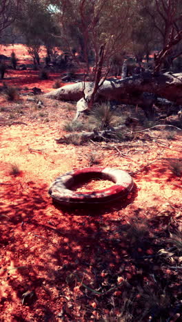 life preserver in the australian outback