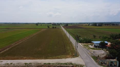 reveal shot of green paddy fields with a road passing through, aerial shot