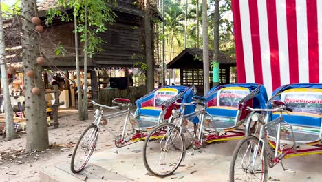 colorful tricycles lined up in a scenic area