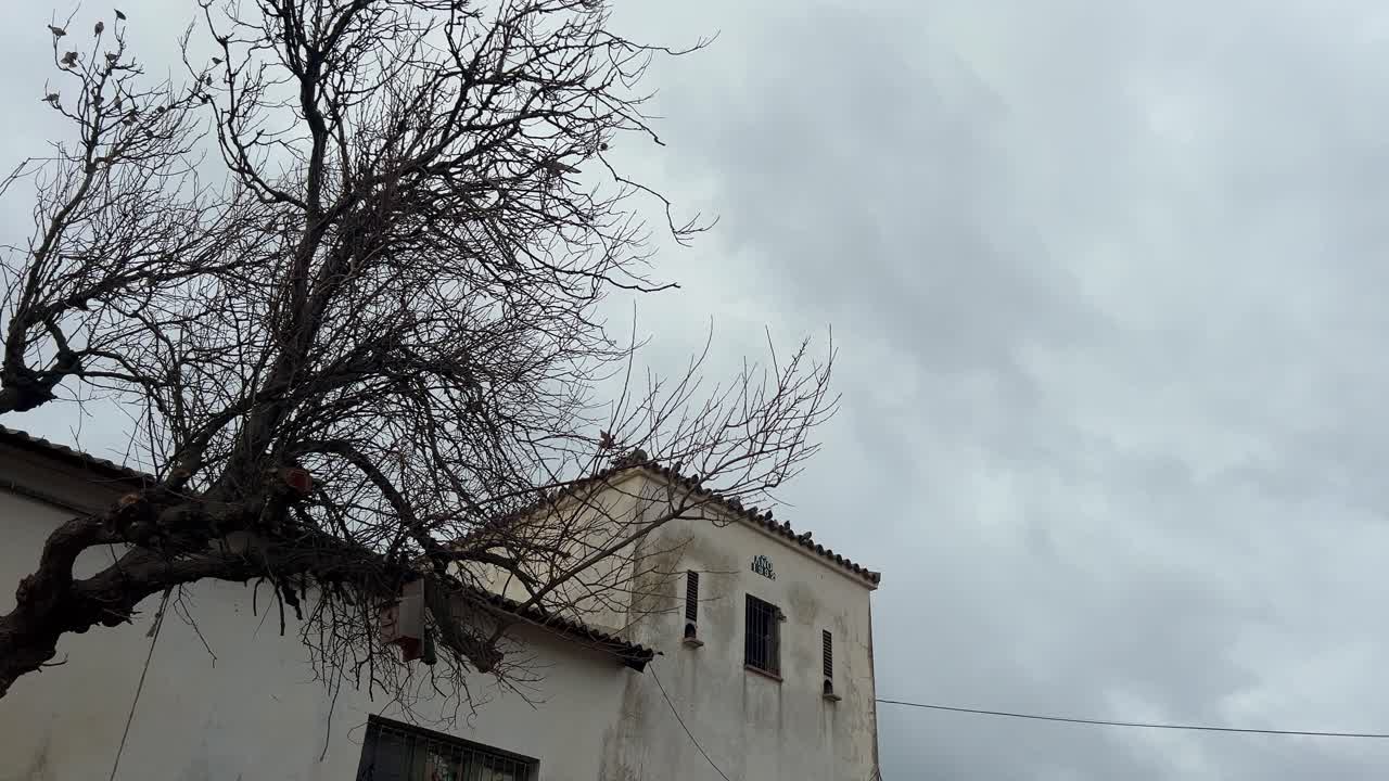 Resting on the aged and weathered structure, birds gather against the backdrop of a cloudy sky, evoking a feeling of nostalgia and rustic charm, reminiscent of past eras and vintage allure