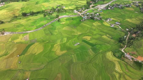 vista aérea de las terrazas de arroz en mu cang chai, vietnam