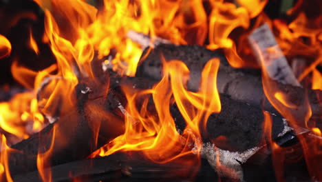 close up of hot fire. close up shot of burning firewood in the fireplace