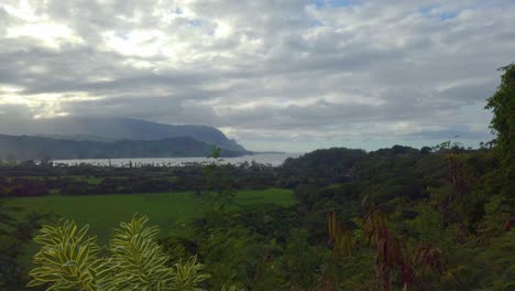 4K-Hawaii-Kauai-boom-up-from-red-plants-to-reveal-trees-and-a-grassy-field,-ocean-cove-and-mountainous-coastline-in-the-distance-with-mostly-cloudy-sky