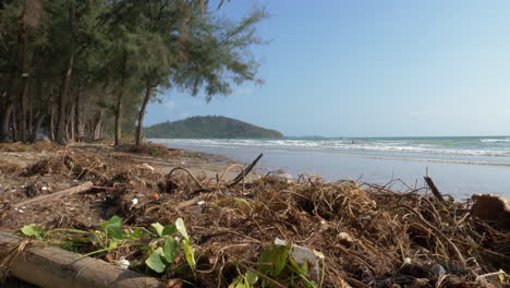 Playa-Contaminada-En-Clima-Cálido