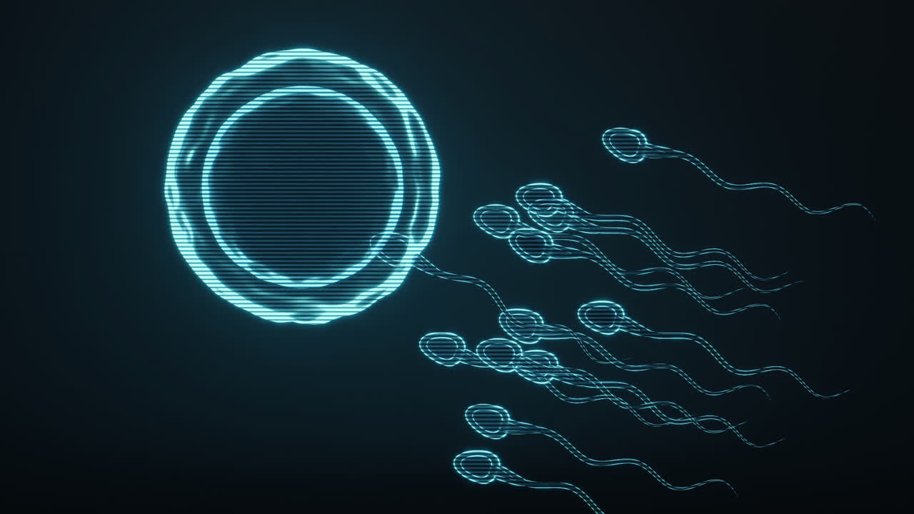 Holographic image of sperm and egg cell, futuristic element, 3d rendering.