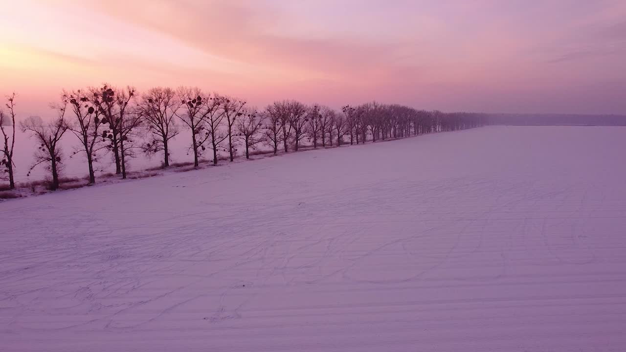 겨울 들판 위를 낮게 뒤로 날며 무한해 보이는 나무들의 줄을 바라보며 지방도로를 지나간다.