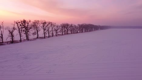 Flying-low-backward-over-winter-field,-looking-at-a-seemingly-infinite-line-of-trees-and-passing-over-a-local-road