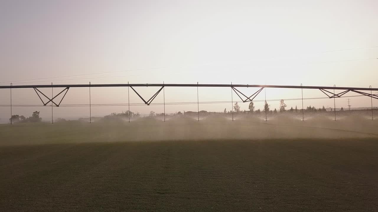 Slow pan across green crop glistening with water from pivot irrigation