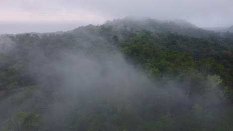 mist, cloud and fog hanging over a lush tropical rainforest in minca, colombia