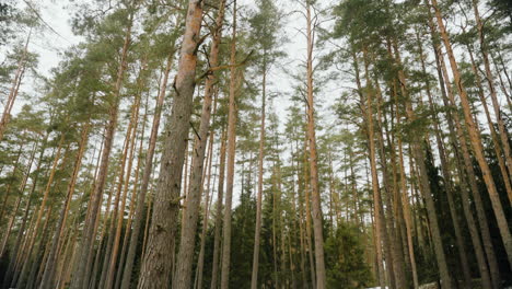 ogre of latvia in the month of february