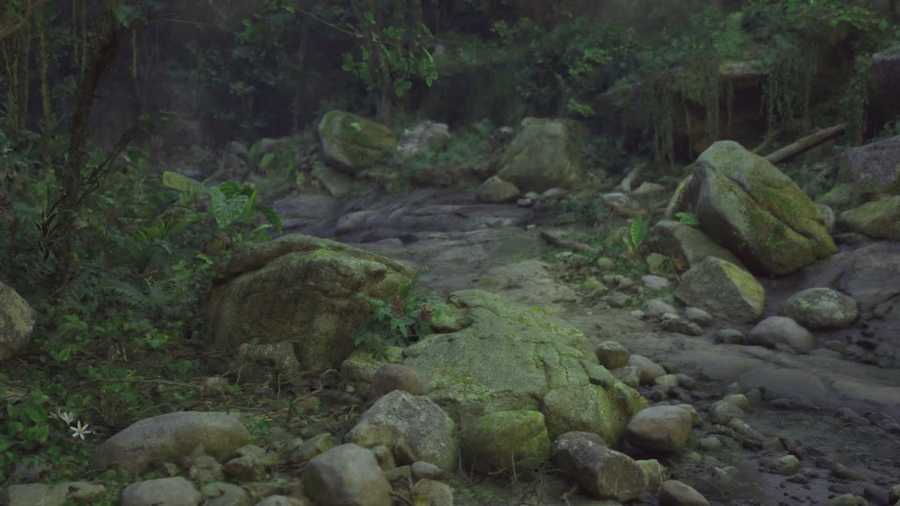 el arroyo del bosque místico